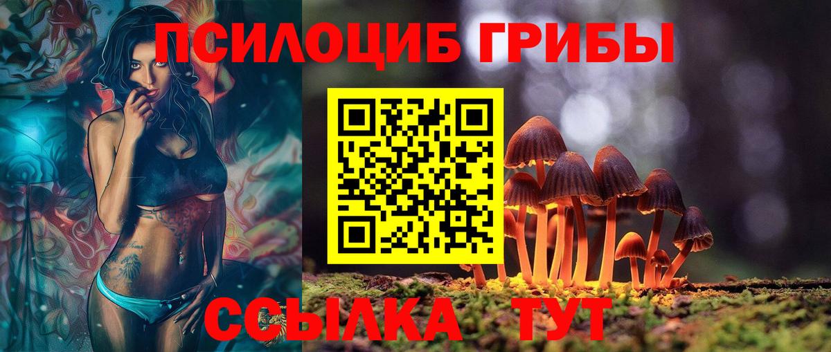 Псилоцибиновые грибы Psilocybe Елабуга