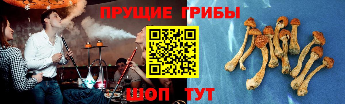 Псилоцибиновые грибы мухоморы  Вход с VPN  Елабуга  Псилоцибиновые грибы мухоморы 